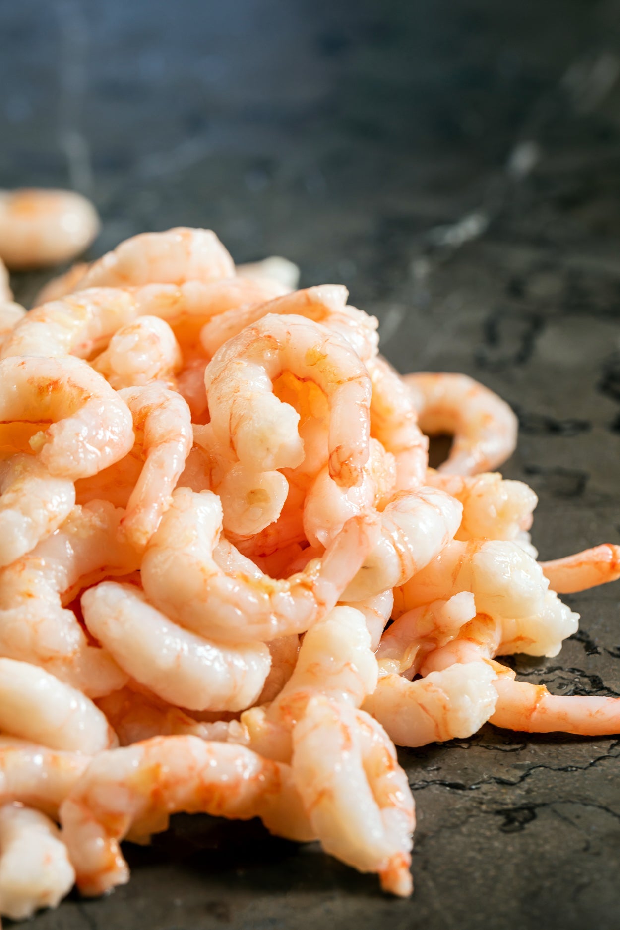 Shrimp - Ottawa - Dal Borgo