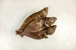 Turbot - Toronto - CB Stealth